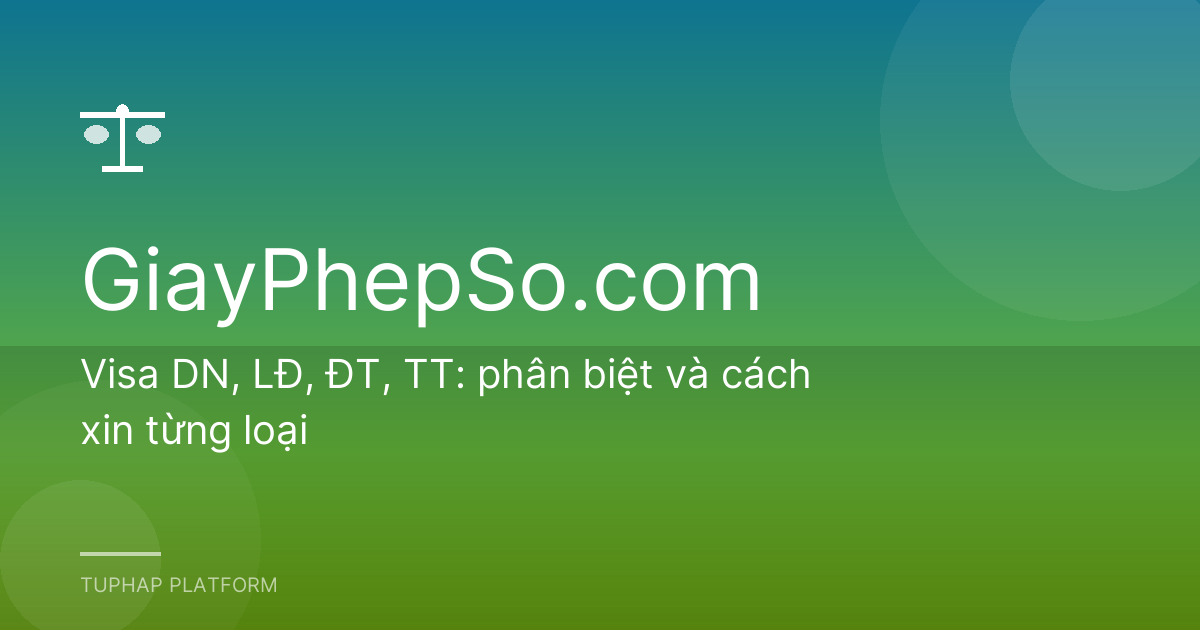 Visa DN, LĐ, ĐT, TT: phân biệt và cách xin từng loại